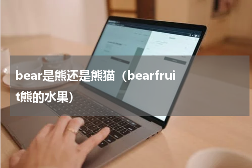 bear是熊还是熊猫（bearfruit熊的水果）