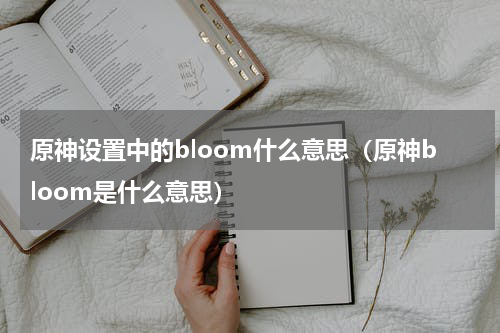 原神设置中的bloom什么意思（原神bloom是什么意思）