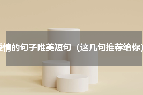 爱情的句子唯美短句（这几句推荐给你）