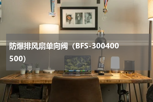 防爆排风扇单向阀（BFS-300400500）