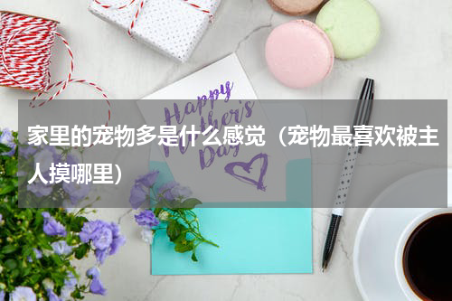 家里的宠物多是什么感觉（宠物最喜欢被主人摸哪里）