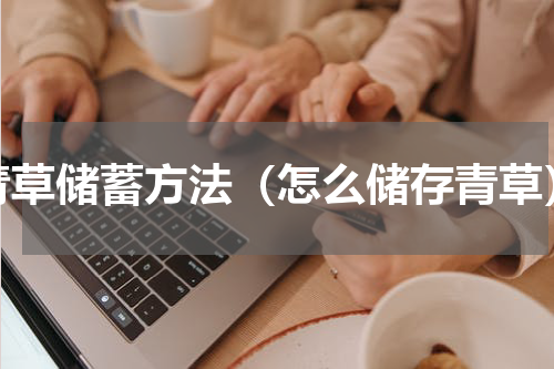 青草储蓄方法（怎么储存青草）