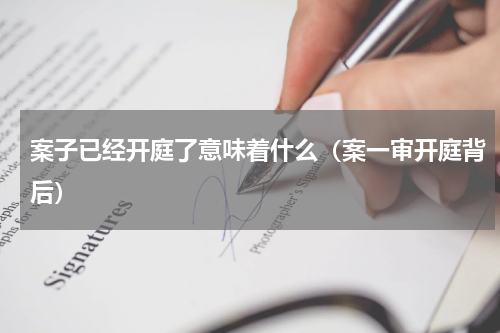 案子已经开庭了意味着什么（案一审开庭背后）