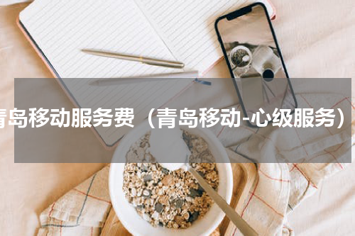 青岛移动服务费（青岛移动-心级服务）
