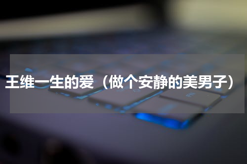 王维一生的爱（做个安静的美男子）