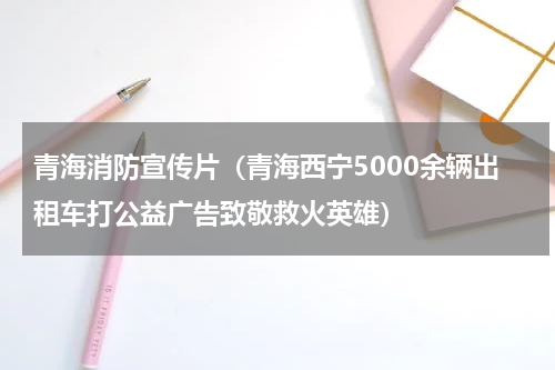 青海消防宣传片（青海西宁5000余辆出租车打公益广告致敬救火英雄）