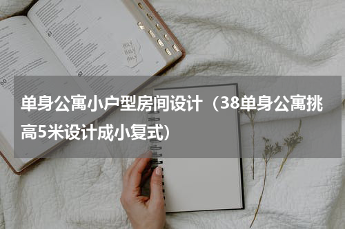 单身公寓小户型房间设计（38单身公寓挑高5米设计成小复式）