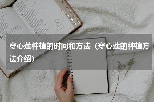 穿心莲种植的时间和方法（穿心莲的种植方法介绍）