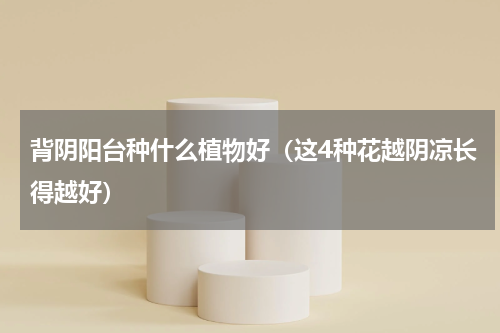 背阴阳台种什么植物好（这4种花越阴凉长得越好）