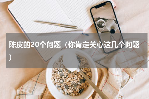 陈皮的20个问题（你肯定关心这几个问题）