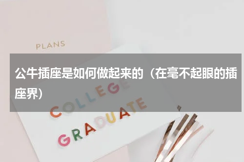 公牛插座是如何做起来的（在毫不起眼的插座界）