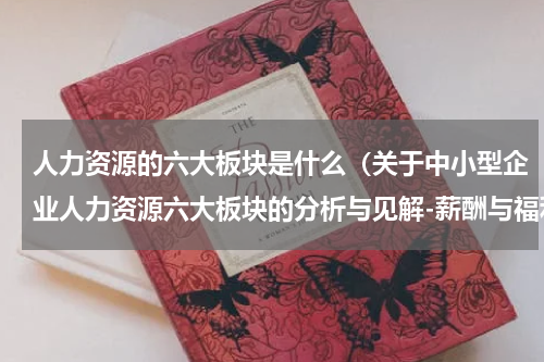 人力资源的六大板块是什么（关于中小型企业人力资源六大板块的分析与见解-薪酬与福利）