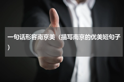 一句话形容南京美（描写南京的优美短句子）
