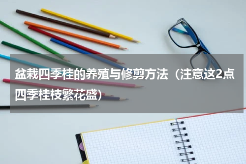 盆栽四季桂的养殖与修剪方法（注意这2点四季桂枝繁花盛）