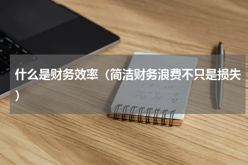 什么是财务效率（简洁财务浪费不只是损失）