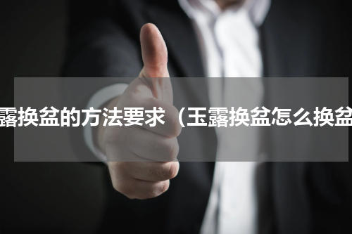 玉露换盆的方法要求（玉露换盆怎么换盆）