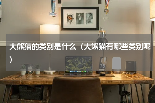 大熊猫的类别是什么（大熊猫有哪些类别呢）