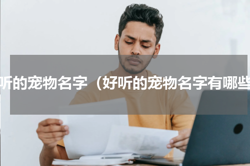 好听的宠物名字（好听的宠物名字有哪些）