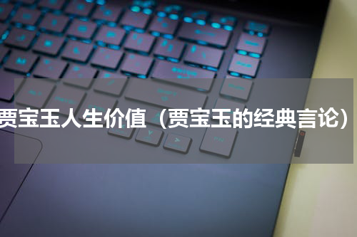 贾宝玉人生价值（贾宝玉的经典言论）