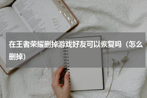 在王者荣耀删掉游戏好友可以恢复吗（怎么删掉）