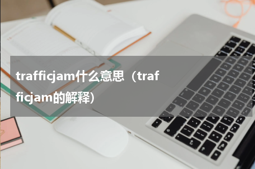trafficjam什么意思（trafficjam的解释）