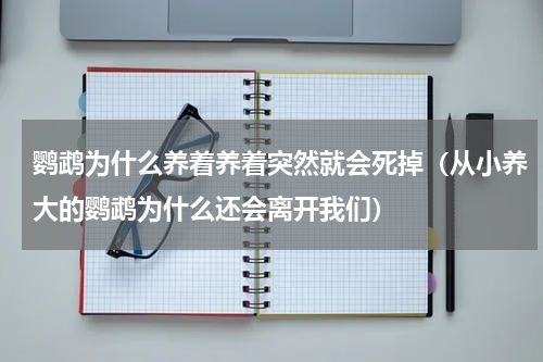鹦鹉为什么养着养着突然就会死掉（从小养大的鹦鹉为什么还会离开我们）