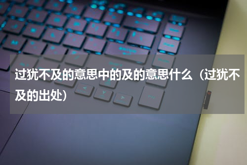 过犹不及的意思中的及的意思什么（过犹不及的出处）