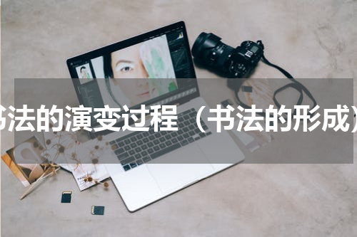 书法的演变过程（书法的形成）