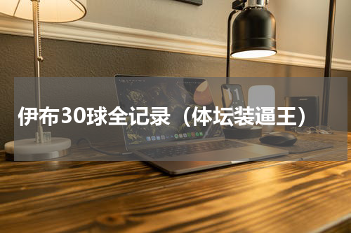 伊布30球全记录（体坛装逼王）