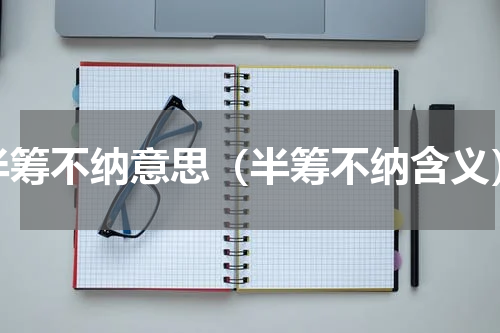 半筹不纳意思（半筹不纳含义）