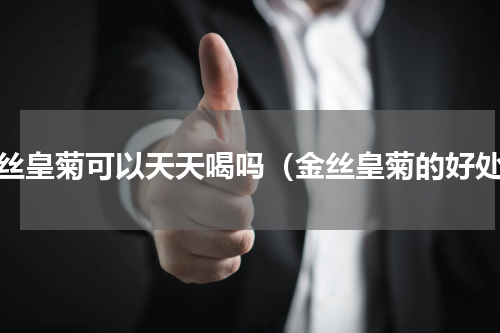 金丝皇菊可以天天喝吗（金丝皇菊的好处）