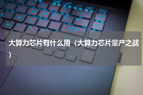 大算力芯片有什么用（大算力芯片量产之战）