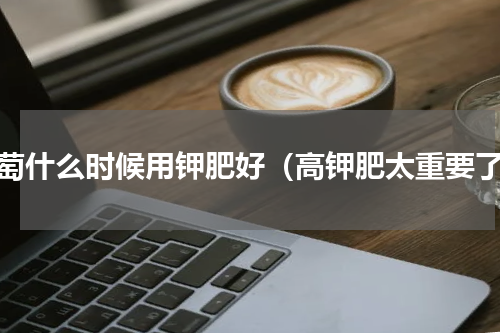 葡萄什么时候用钾肥好（高钾肥太重要了）