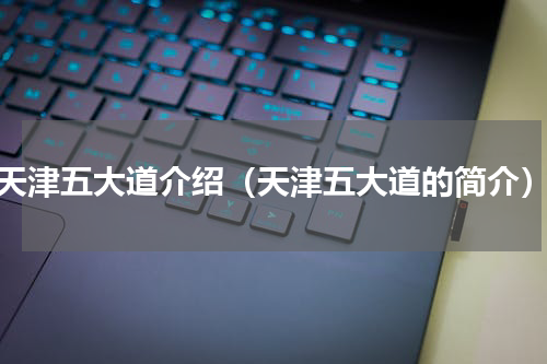 天津五大道介绍（天津五大道的简介）