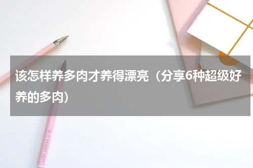 该怎样养多肉才养得漂亮（分享6种超级好养的多肉）