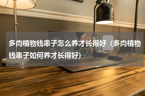 多肉植物钱串子怎么养才长得好（多肉植物钱串子如何养才长得好）