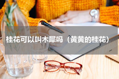 桂花可以叫木犀吗（黄黄的桂花）