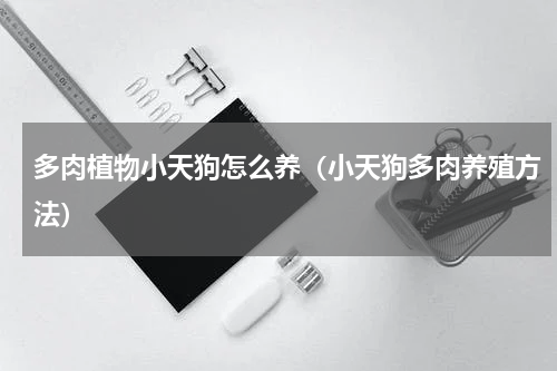 多肉植物小天狗怎么养（小天狗多肉养殖方法）