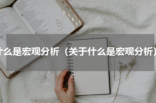 什么是宏观分析（关于什么是宏观分析）