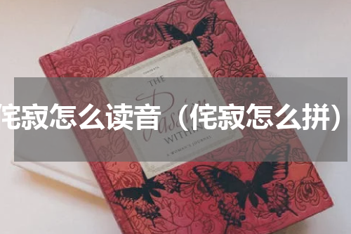 侘寂怎么读音（侘寂怎么拼）
