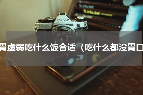 脾胃虚弱吃什么饭合适（吃什么都没胃口）