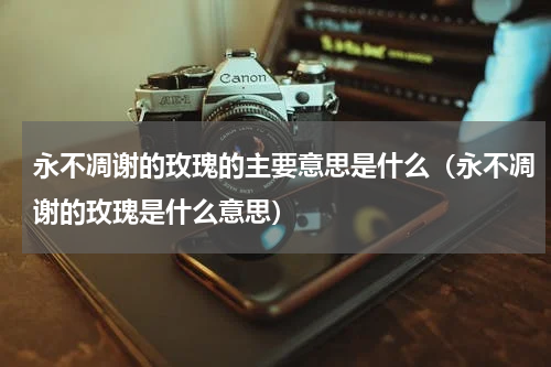 永不凋谢的玫瑰的主要意思是什么（永不凋谢的玫瑰是什么意思）