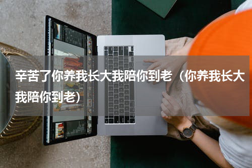 辛苦了你养我长大我陪你到老（你养我长大我陪你到老）