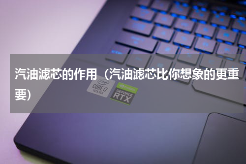 汽油滤芯的作用（汽油滤芯比你想象的更重要）