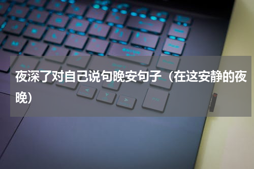 夜深了对自己说句晚安句子（在这安静的夜晚）