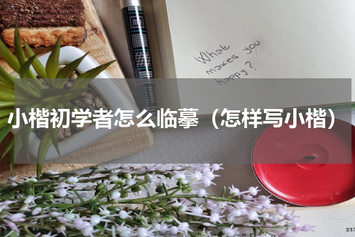 小楷初学者怎么临摹（怎样写小楷）