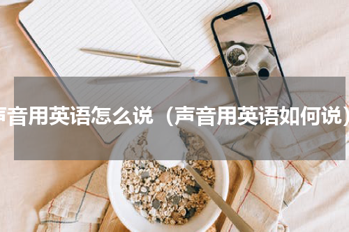 声音用英语怎么说（声音用英语如何说）