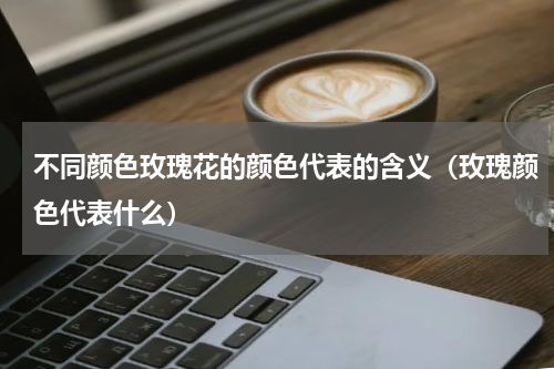 不同颜色玫瑰花的颜色代表的含义（玫瑰颜色代表什么）