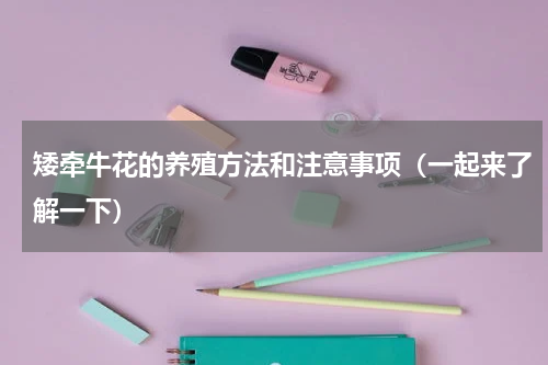 矮牵牛花的养殖方法和注意事项（一起来了解一下）