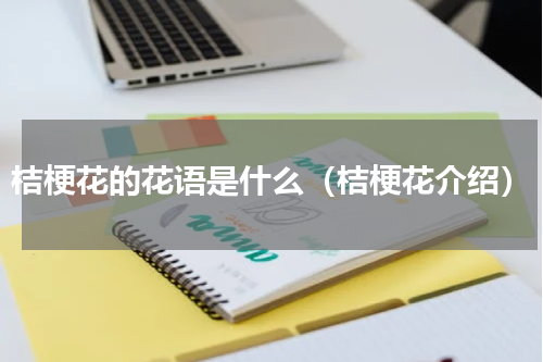 桔梗花的花语是什么（桔梗花介绍）